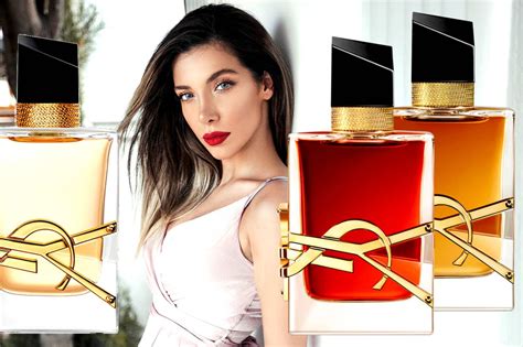 ysl libre similar perfumes|YSL libre perfume best price.